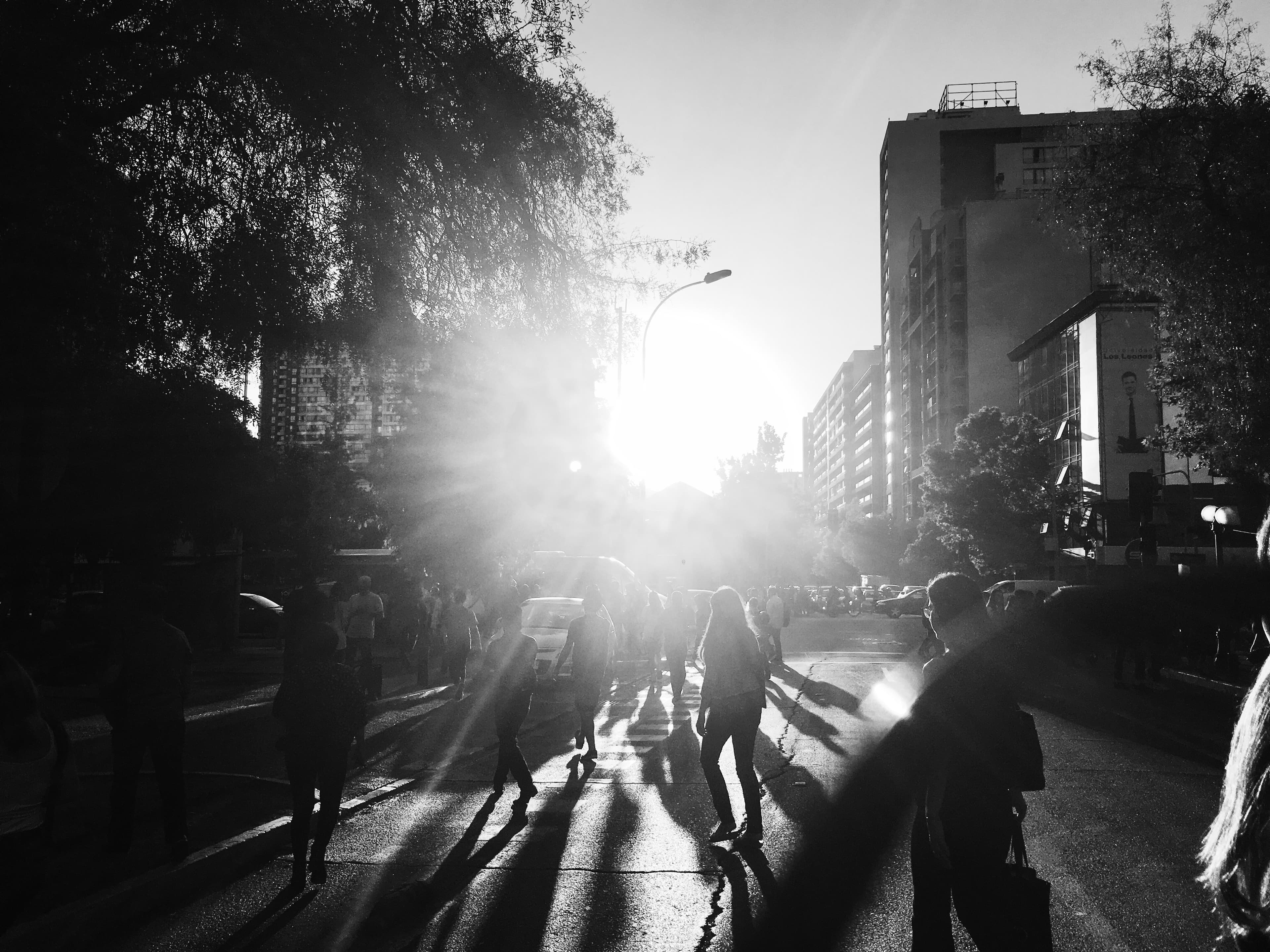 Black and white image of a crowd of pedestrians crossing the street outside of the crosswalk. The sillouettes of the pedestrians, which were captured from the back, contrasts heavily with the afternoon sun hitting the street (and the camera).